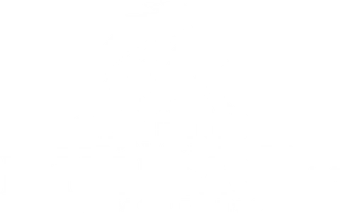 Little Santi LLC logo